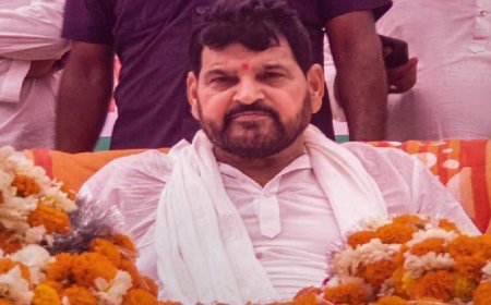 आरोप झूठे, गवाह 'सिखाए-पढ़ाए' गए: बृजभूषण शरण सिंह आदेश में अदालत की टिप्पणी