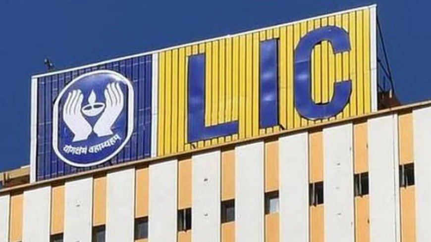 4 अगस्त को खुल रहा है LIC का OFS: यहां जानें सभी जरूरी बातें