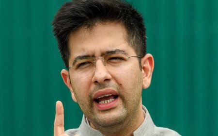 ‘बदले की राजनीति’: एसआईआर (SIR) मतदाता सूची में नाम 'स्थानांतरित' (shifted) चिह्नित होने के बाद राघव चड्ढा ने पंजाब सरकार पर साधा निशाना