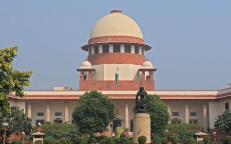 कोई अवैध हिरासत नहीं, निर्बाध इंटरनेट: दिल्ली प्रदर्शनों पर सुप्रीम कोर्ट के शीर्ष 7 उद्धरण